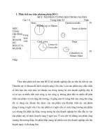 Phân tích ma trận BCG