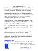 Canva   công cụ thiết kế ấn phẩm truyền thông tuyệt vời cho người không chuyên