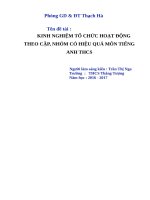 SKKN KINH NGHIỆM TỔ CHỨC HOẠT ĐỘNG THEO CẶP, NHÓM CÓ HIỆU QUẢ MÔN TIẾNG ANH THCS