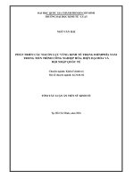 Phát triển các nguồn lực vùng kinh tế trọng điểm phía nam trong tiến trình công nghiệp hóa, hiện đại hóa và hội nhập quốc tế (tt)