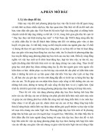 SKKN Kinh nghiệm dạy liên môn Sử Địa ở trường THCS