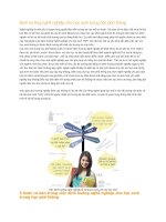 Định hướng nghề nghiệp cho học sinh trung học phổ thông