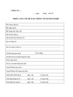 Mấu phiếu bổ sung thông tin doanh nghiệp Kê Khai Thuế