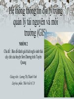 Bản đồ đánh giá thích nghi sinh thái cây chè của huyện Sơn Dương tỉnh Tuyên Quang