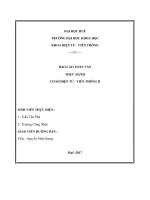 Báo cáo thực hành ghép nối Arduino với máy tinh