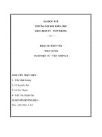 Báo cáo THực hành ghép nối máy tính với arduino