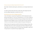 Tầm quan trọng của những kĩ năng mềm đối với vị trí IT