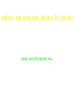 PHONG TRU SINH HOC BENH CAY