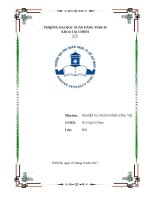 Nghiệp vụ ngân hàng đầu tư. M A