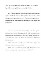 Đánh giá xem các định nghĩa và lý thuyết về lãnh đạo nào là phù hợp nhất với những lãnh đạo doanh nghiệp việt nam 