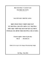 vBiện pháp phát triển đội ngũ tổ trưởng chuyên môn các trường tiểu học trên địa bàn huyện lệ thủy tỉnh quảng bình theo hướng chuẩn hóa (tt) 