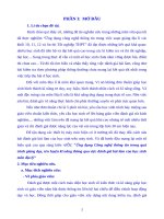 SKKN Ứng dụng Công nghệ thông tin trong quá trình giảng dạy, rèn luyện kĩ năng thông qua việc đánh giá bài làm của học sinh môn địa lý