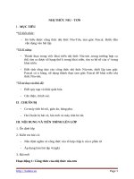 Giáo án Đại số 11 chương 2 bài 3: Nhị thức Niutơn