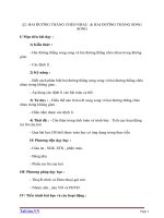 Giáo án Hình học 11 chương 2 bài 2: Hai đường thẳng chéo nhau và hai đường thẳng song song