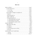 SKKN Một số biện pháp nâng cao hiệu quả giảng dạy bài 28: thực hành “quan sát vi sinh vật