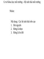 9. Các hệ sinh thái trên cạn 1