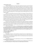 Chuỗi giá trị toàn cầu ngành hàng chè và sự tham gia của việt nam  tt