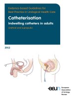 TUẦN 12-13: THỰC HÀNH DỰA VÀO BẮNG CHỨNG - nghiên cứu khoa học thongtieu