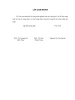 Nghiên cứu thu hồi kim loại đồng từ bùn thải công nghiệp điện tử bằng phương pháp điện hoá (LA tiến sĩ)