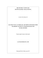 Giải pháp nâng cao hiệu quả hoạt động của hệ thống kênh phân phối Vinaphone tại Trung tâm Kinh doanh VNPT TP. Hồ Chí Minh (LV thạc sĩ)