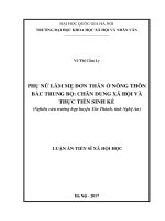 Phụ nữ làm mẹ đơn thân ở nông thôn bắc trung bộ chân dung xã hội và thực tiến sinh kế (nghiên cứu trường hợp huyện yên thành, tỉnh nghệ an) 