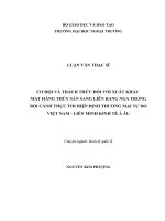 Cơ hội và thách thức đối với xuất khẩu mặt hàng thủy sản sang Liên bang Nga trong bối cảnh thực thi hiệp định thương mại tự do Việt Nam – Liên minh kinh tế Á  Âu (LV thạc sĩ)