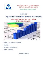 Phân tích tài chính Tập đoàn Hoa Sen