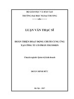 Hoàn thiện hoạt động chuỗi cung ứng tại công ty cổ phần Tecomen (LV thạc sĩ)