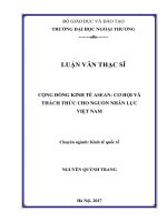 Cộng đồng kinh tế ASEAN: Cơ hội và thách thức cho nguồn nhân lực Việt Nam (LV thạc sĩ)