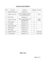 Chiến lược kinh doanh quốc tế của công ty Honda Việt Nam