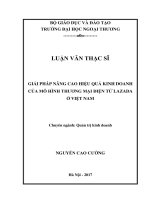 Giải pháp nâng cao hiệu quả kinh doanh của mô hình thương mại điện tử Lazada ở Việt Nam (LV thạc sĩ)