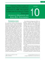 CHAPTER 10 – CRYSTAL STRUCTURES OF PERIPLASMIC SOLUTE BINDING PROTEINS IN ABC TRANSPORT COMPLEXES ILLUMINATE THEIR FUNCTION