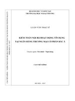Kiểm toán nội bộ hoạt động tín dụng tại Ngân hàng Thương mại cổ phần Bắc Á (LV thạc sĩ)