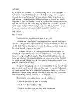 Vận dụng qui luật lực lượng sản xuất phù hợp với quan hệ sản xuất trong phát triển kinh tế ở Việt Nam hiện nay