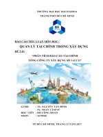 Phân tích tài chính Tổng Công ty Xây dựng số 1 (CC1)