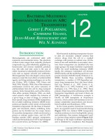 CHAPTER 12 – BACTERIAL MULTIDRUG RESISTANCE MEDIATED BY ABC TRANSPORTERS