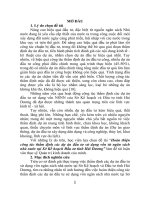 Hoàn thiện công tác thẩm định các dự án đầu tư sử dụng vốn từ ngân sách nhà nước tại sở kế hoạch đầu tư tỉnh hải dương tt 