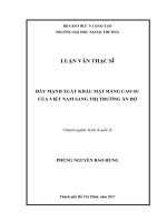 Đẩy mạnh xuất khẩu mặt hàng cao su của Việt Nam sang thị trường Ấn Độ (LV thạc sĩ)