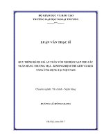 Quy trình đánh giá an toàn vốn nội bộ ICAAP cho các ngân hàng thương mại – Kinh nghiệm thế giới và khả năng ứng dụng tại Việt Nam (LV thạc sĩ)