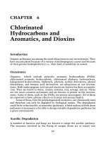 Biotreatment of industrial effluents CHAPTER 6 – chlorinated hydrocarbons and aromatics, and dioxins