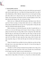 Giải pháp tăng cường năng lực của cán bộ nhân viên phòng tài chính kế toán – bệnh viện lao và bệnh phổi hải dương tt 