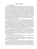 SKKN giải toán có lời văn lớp 1