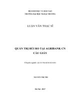 Quản trị rủi ro tại Agribank chi nhánh Cầu Giấy (LV thạc sĩ)