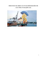 Phân tích tác động của tỉ giá hối đoái đối với các công ty đa quốc gia 