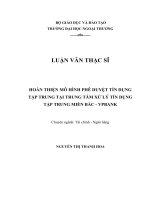 Hoàn thiện mô hình phê duyệt tín dụng tập trung tại Trung tâm xử lý tín dụng tập trung Miền Bắc – VPBank (LV thạc sĩ)