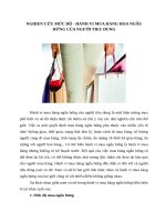 Nghiên cứu mức độ   hành vi mua hàng hóa ngẫu hứng của người tiêu dùng 