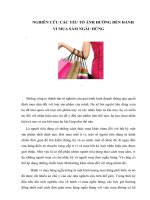 Các yếu tố ảnh hưởng đến hành vi mua sắm ngẫu hứng 