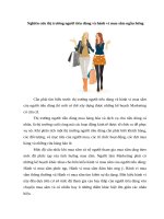 Nghiên cứu thị trường người tiêu dùng và hành vi mua sắm ngẫu hứng 