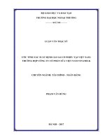 Ước tính xác suất định giá sai cổ phiếu tại Việt Nam: Trường hợp công ty cổ phần sữa Việt Nam (Vinamilk) (LV thạc sĩ)