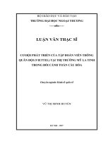 Cơ hội phát triển của Tập đoàn Viễn thông Quân đội (Viettel) tại thị trường Mỹ Latinh trong bối cảnh toàn cầu hoá (LV thạc sĩ)